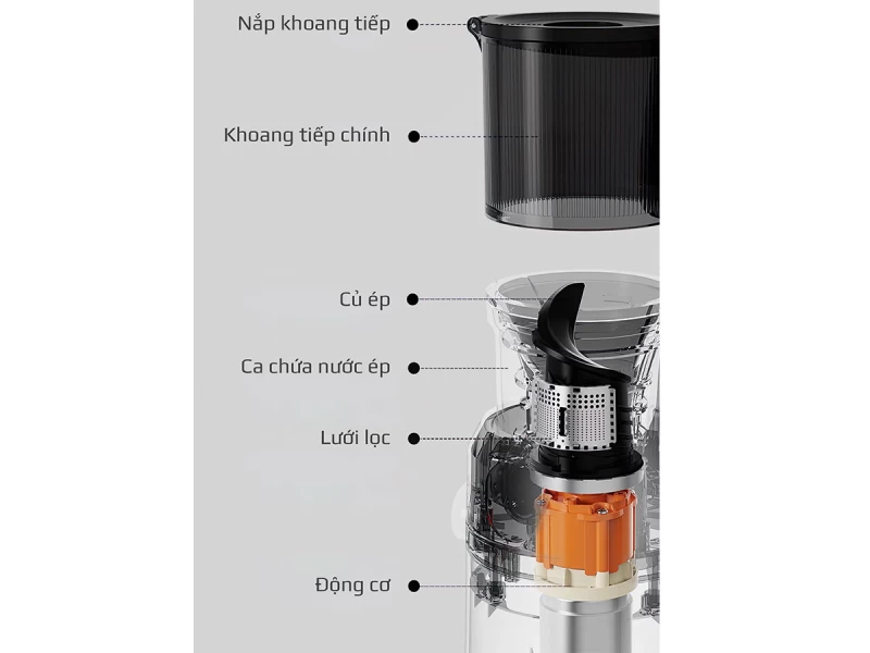 Máy ép chậm Olivo SJ240 - Ảnh 4