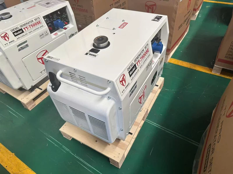 Máy Phát Điện 6Kw Chạy Dầu TTPRO TT-7500SE - Thumbnail 1