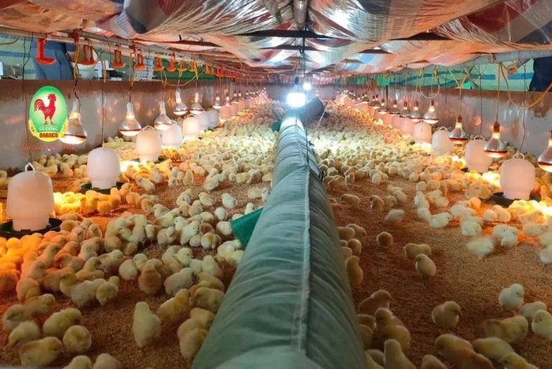 Máy sưởi công nghiệp 30KW dùng điện, diện tích sưởi 300m2 - Ảnh 3